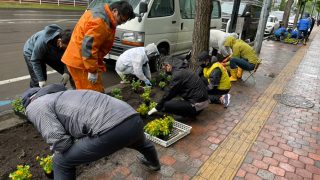 花壇の花植えを行いました